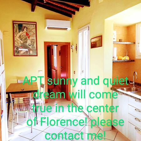 Apt Bright, Quiet! In The Center. Firenze Esterno foto
