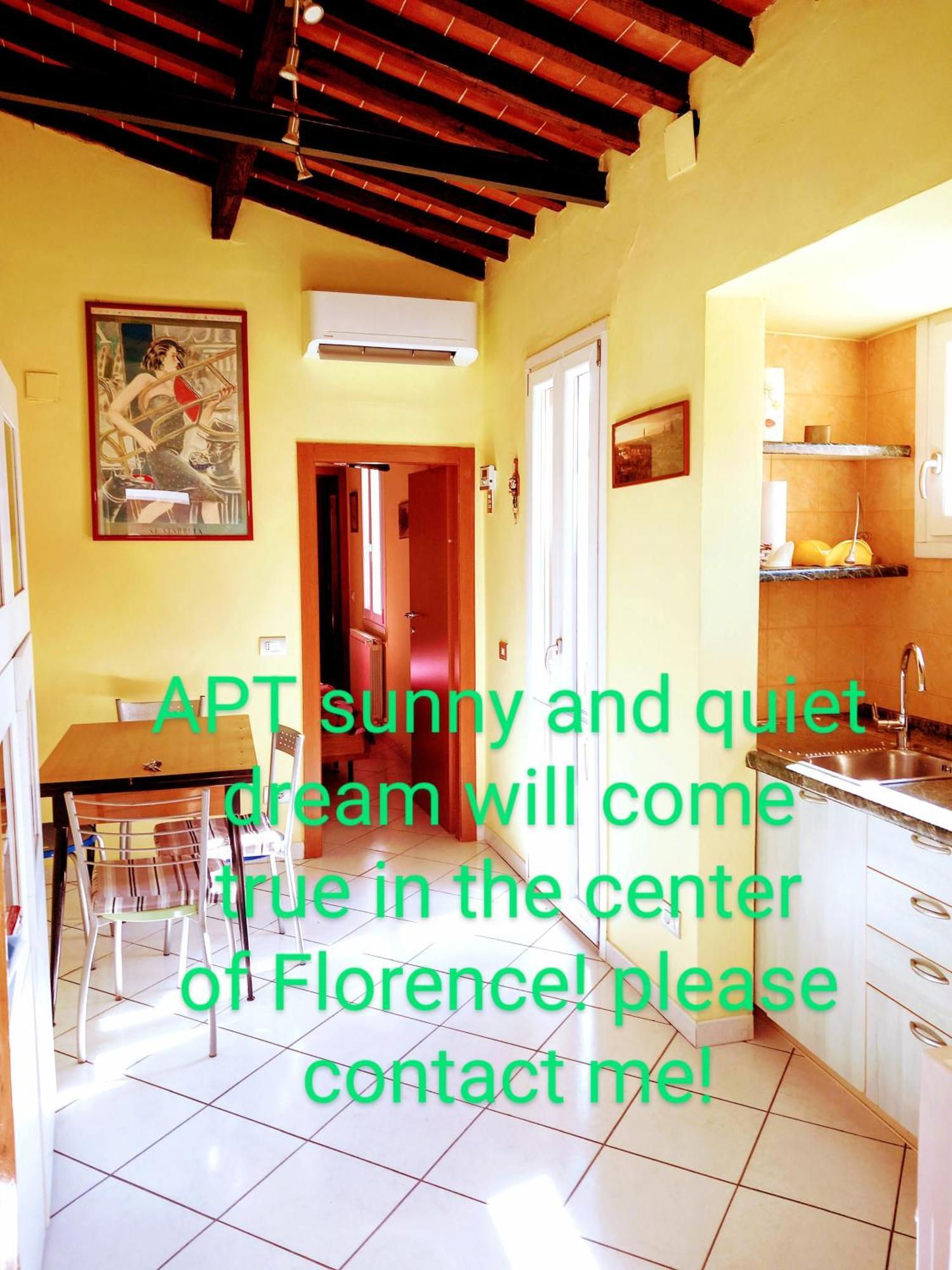 Apt Bright, Quiet! In The Center. Firenze Esterno foto